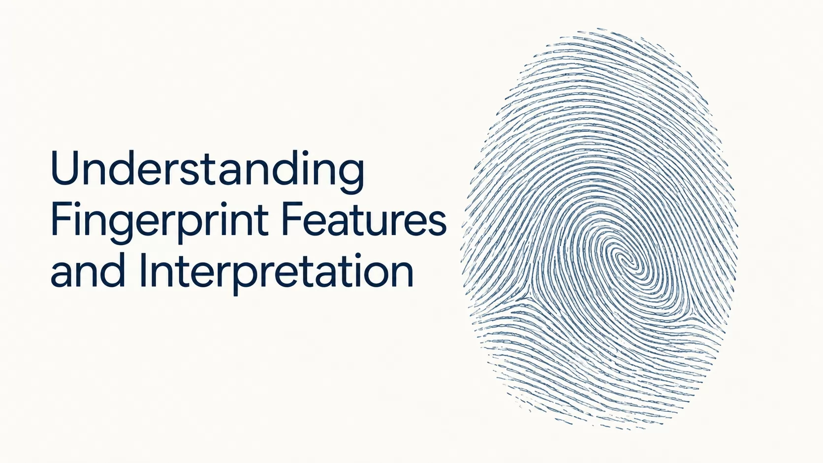Understanding Fingerprint Features and Interpretation