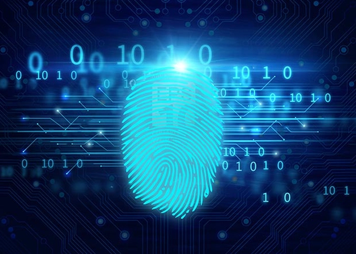 fingerprint identification algorithm