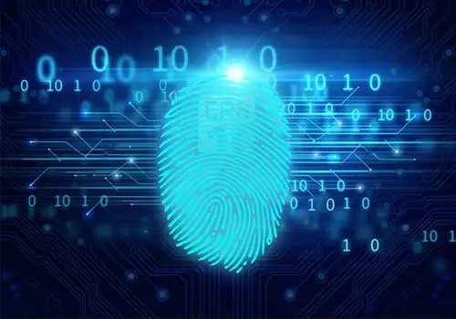 Miaxis Fingerprint Algorithm
